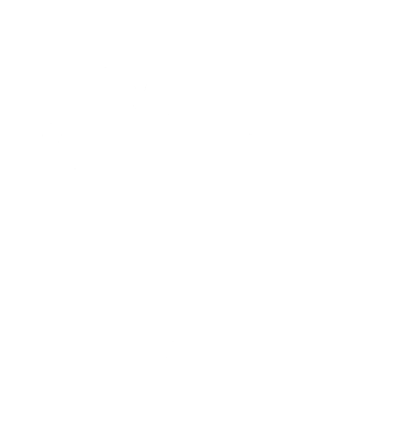 Handdrawn Bouquet of Flowers 